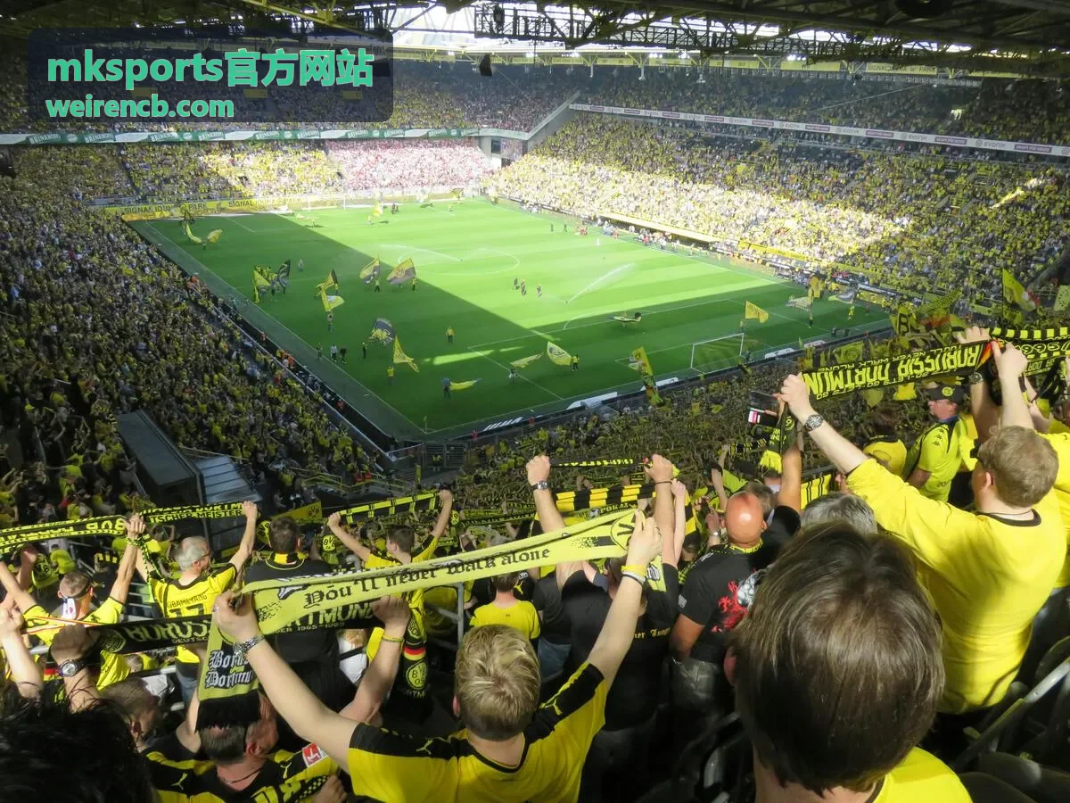 mksports官方网站赛程与比分查看场景